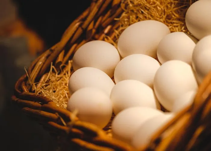 Tannenhof ホテル 3*